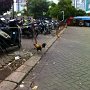 sIMG_15141