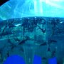 sDSC02083