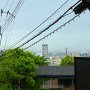 sDSC02369