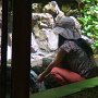 sDSC02779