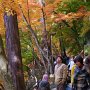 sP1020101